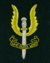 SPECIAL AIR SERVICE (SAS)